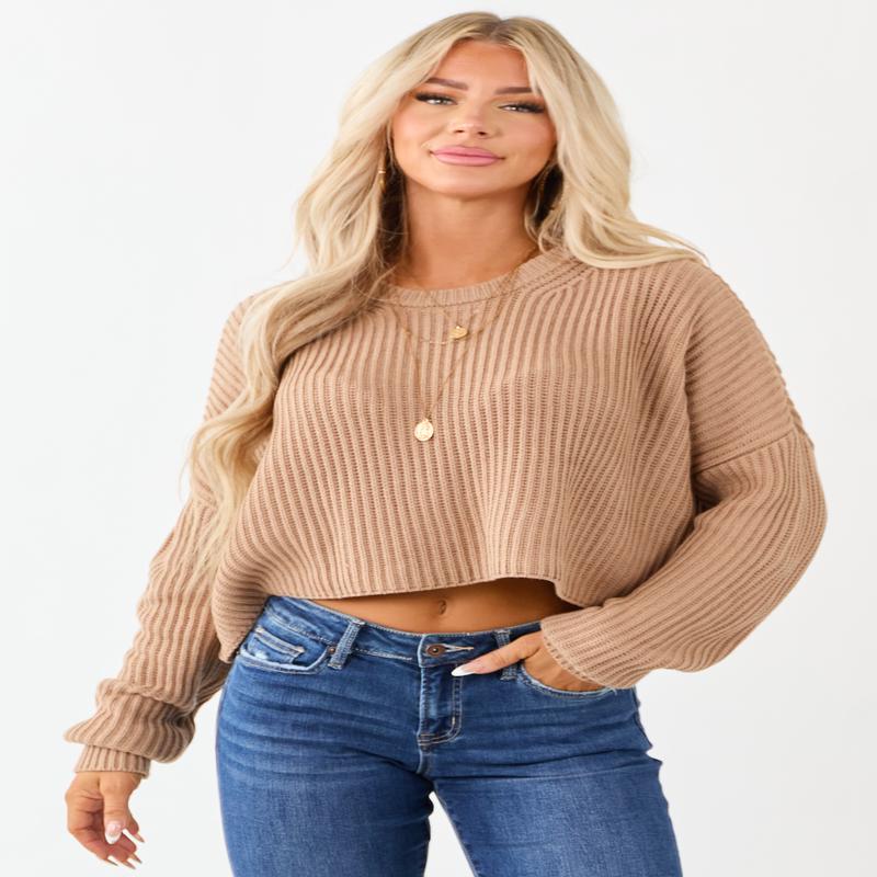 Camel Relaxed Rib Knit Crew Neck Cropped Sweater