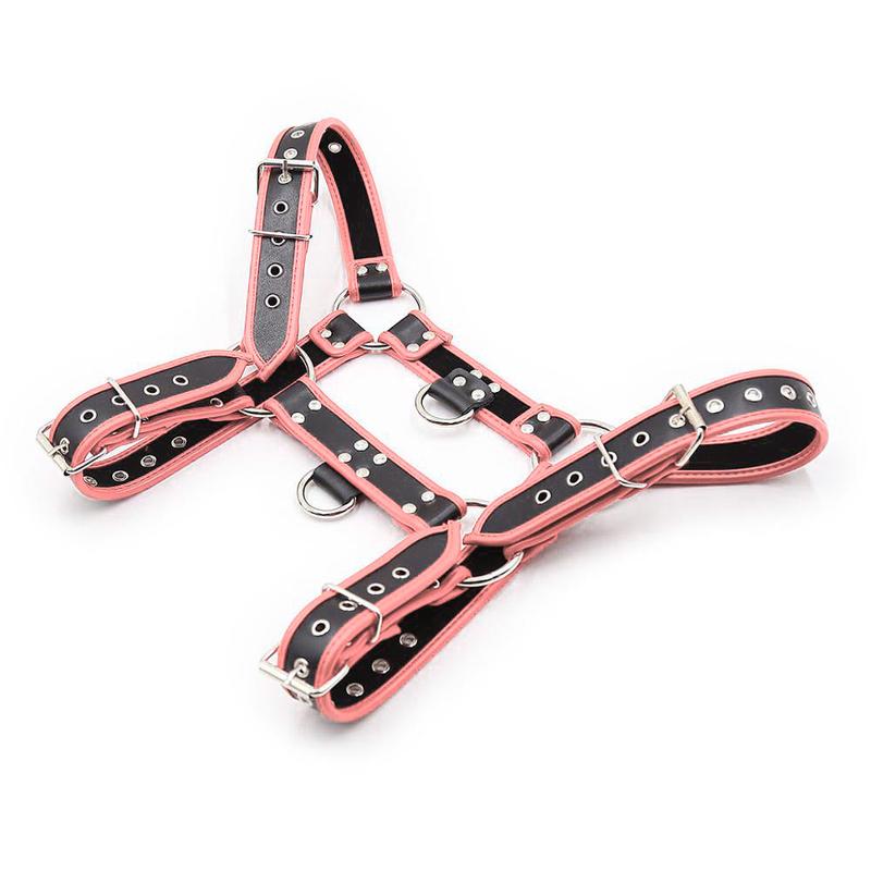 Contrast Trim Bulldog Harness - Black Pink