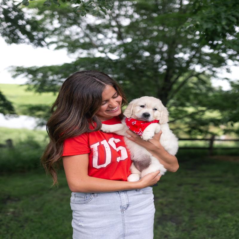 Z Supply USA Boyfriend Tee