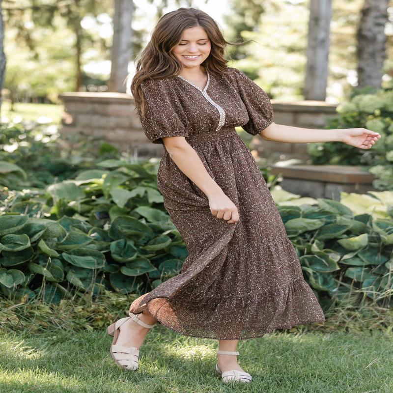 Embroidered V-neck Chiffon Dress