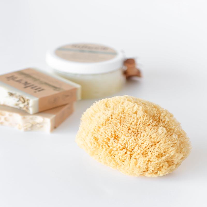 Wool Sea Sponge