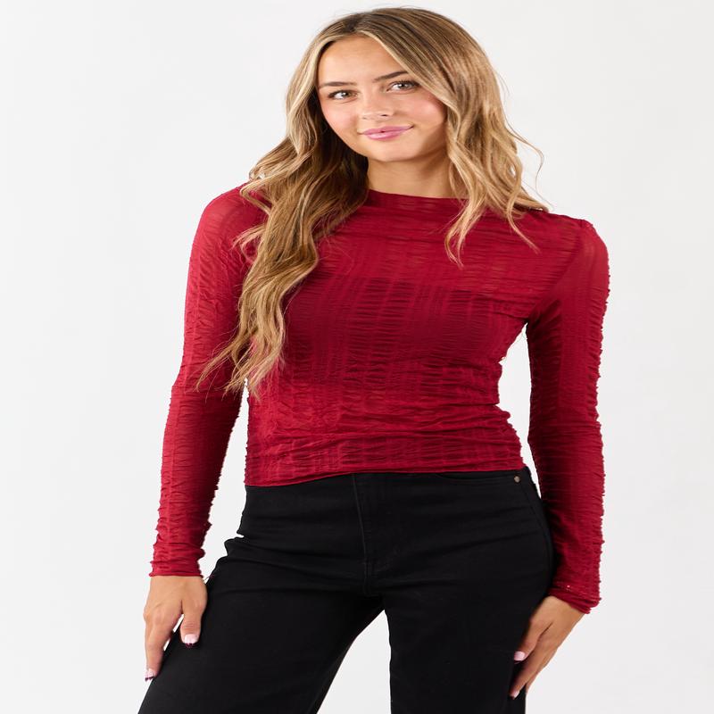 Cranberry Sheer Mesh Textured Long Sleeve Top