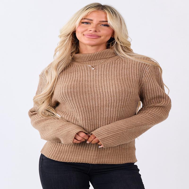 Peanut Rib Knit Turtleneck Long Sleeve Sweater