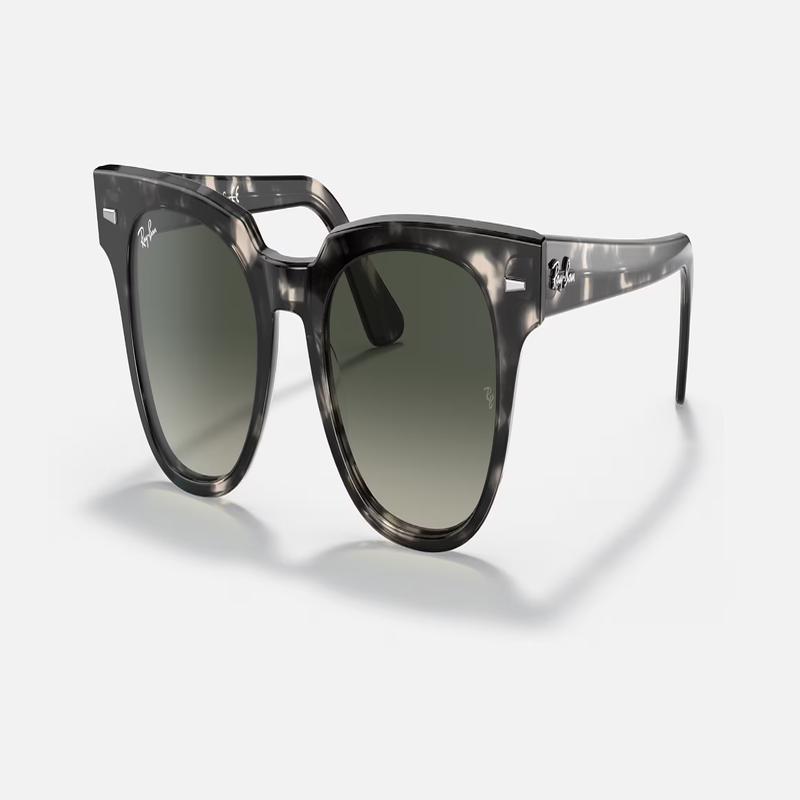 Ray Ban Meteor Fleck Sunglasses