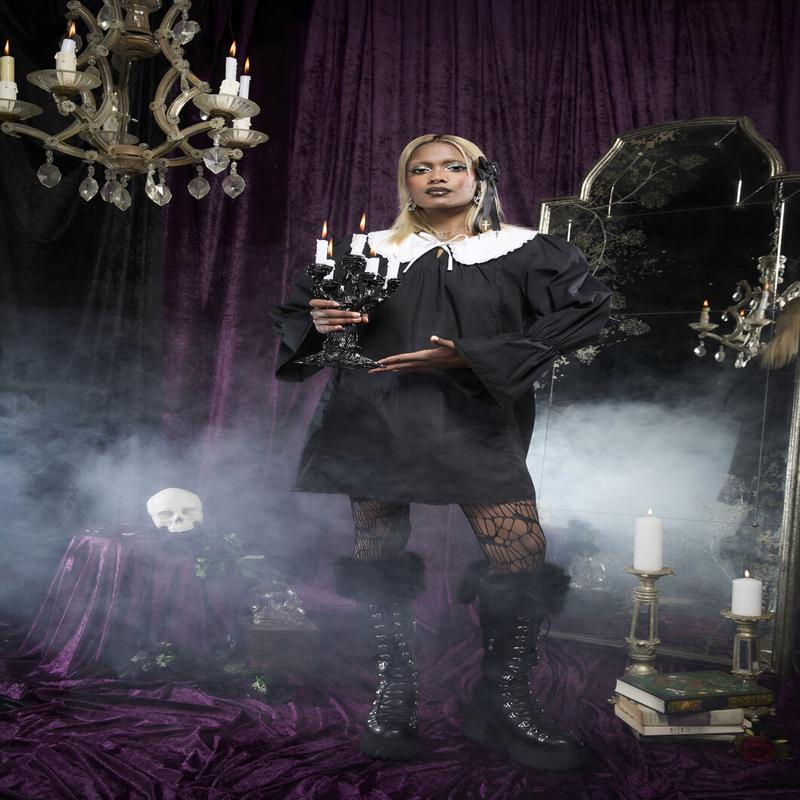 The Adorned Collar Lace Dress