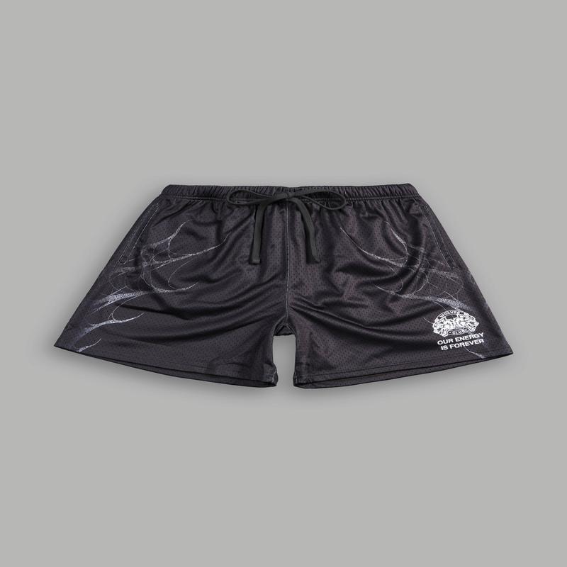 Dark Origin V2 Mesh Shorts in Wolf Gray