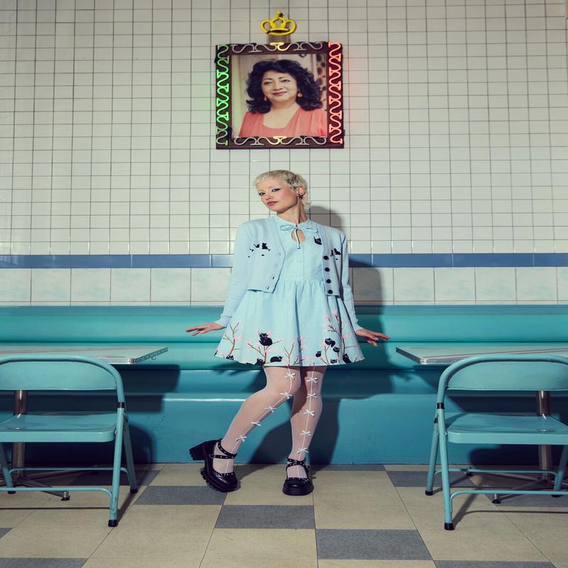 Pussy Willow Border Dress