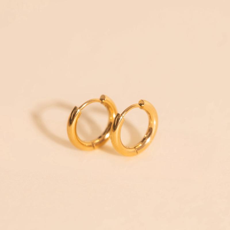Titanium Mini Rounded Huggie Hoop Earrings
