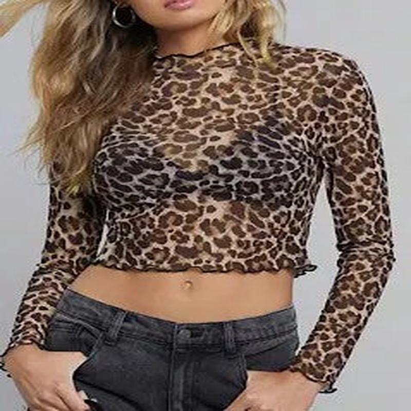 Mesh Leopard Crop Top *Online Only*