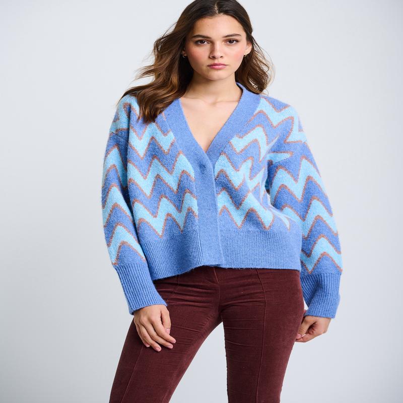 Lisa Todd The Chevy Cardigan